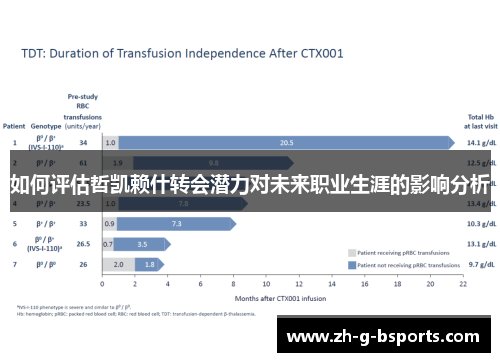 如何评估哲凯赖什转会潜力对未来职业生涯的影响分析 如何评估哲凯赖什转会潜力对未来职业生涯的影响分析